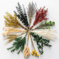 12 Kind Dried Flowers Set - Including Lavender, Eucalyptus, Wheat, Bunny Tails, Handmade for DIY Crafts, Vase Decor, Wedding/Home/Birthday/Seasonal Decor