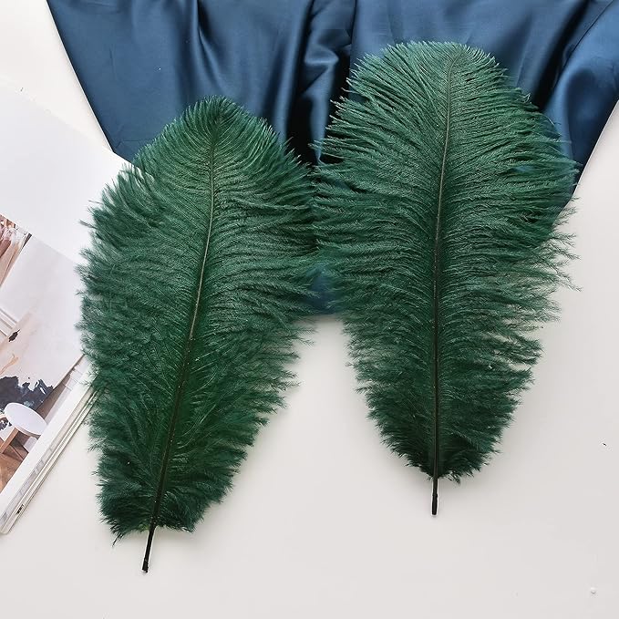 Ballinger Green Long Ostrich Feathers - 12Pcs 14-16inch Large Feathers for Tall Vase,Wedding Party Centerpieces and Holiday Home Decor