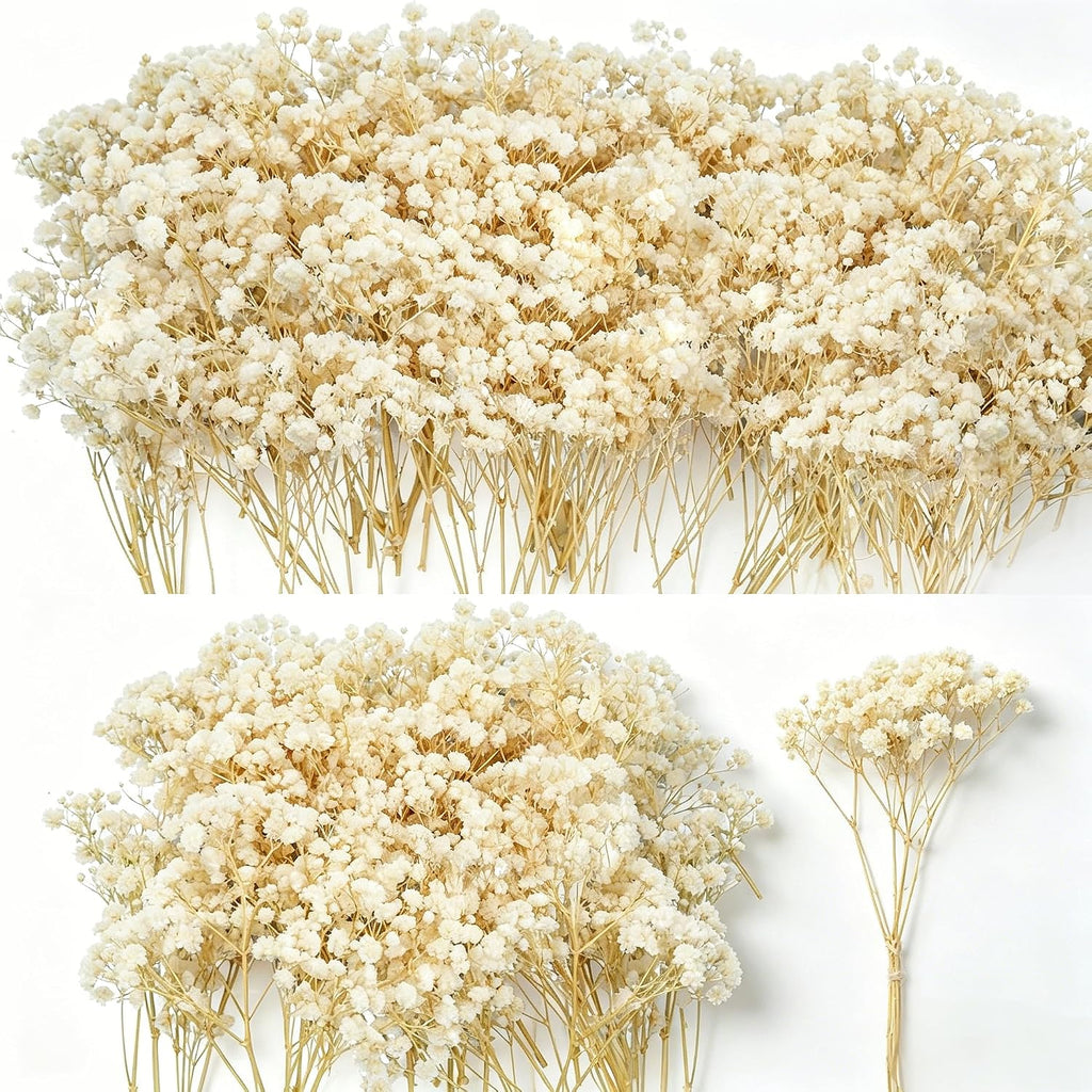 3000+ Mini Dried Baby's Breath Flowers, 6'' Natural Ivory White Flowers for Resin Art Craft DIY, 65Pcs Pressed Gypsophila Bouquet Present for Valentine's Day, Wedding Wreath, Card Making, Home Decor