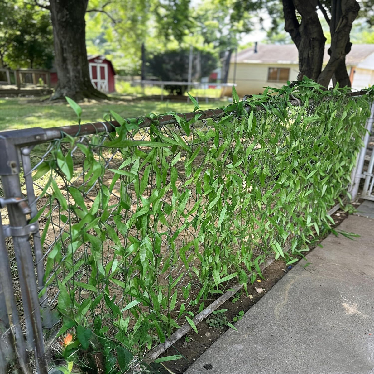 1200 ft artificial ivy garland fake hanging jungle, side view
