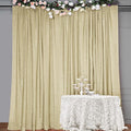 10FT x10FT Champagne Metallic Sheer Spandex Backdrop, 1 Panel Glitter Photography Background, Stretchy Spandex Fabric for Wedding, Party, Baby Shower, Photo Booth Decor