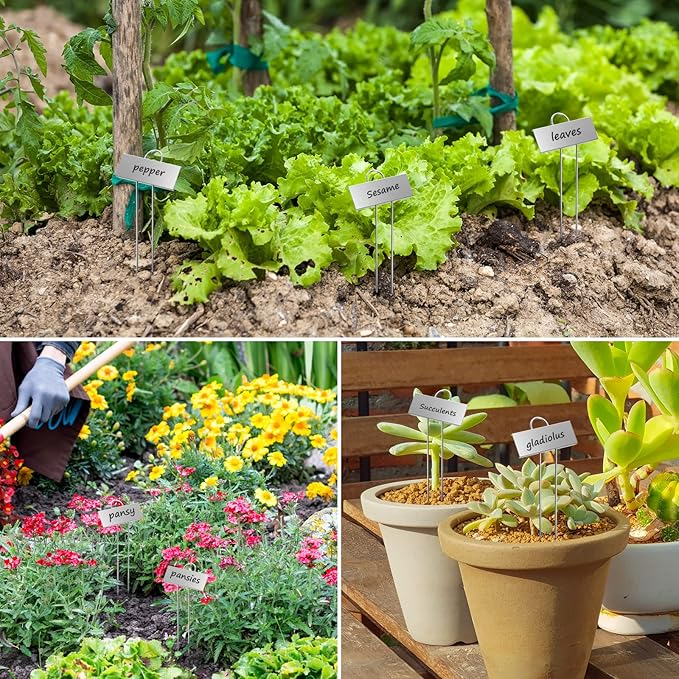50-Pack Metal Plant Labels Weatherproof Garden Markers,Height 10.6'', Label Area 3.5''X 1.2'' Reusable Nursery Tags for Vegetables Herb Flower Seed Greenhouse - Zinc