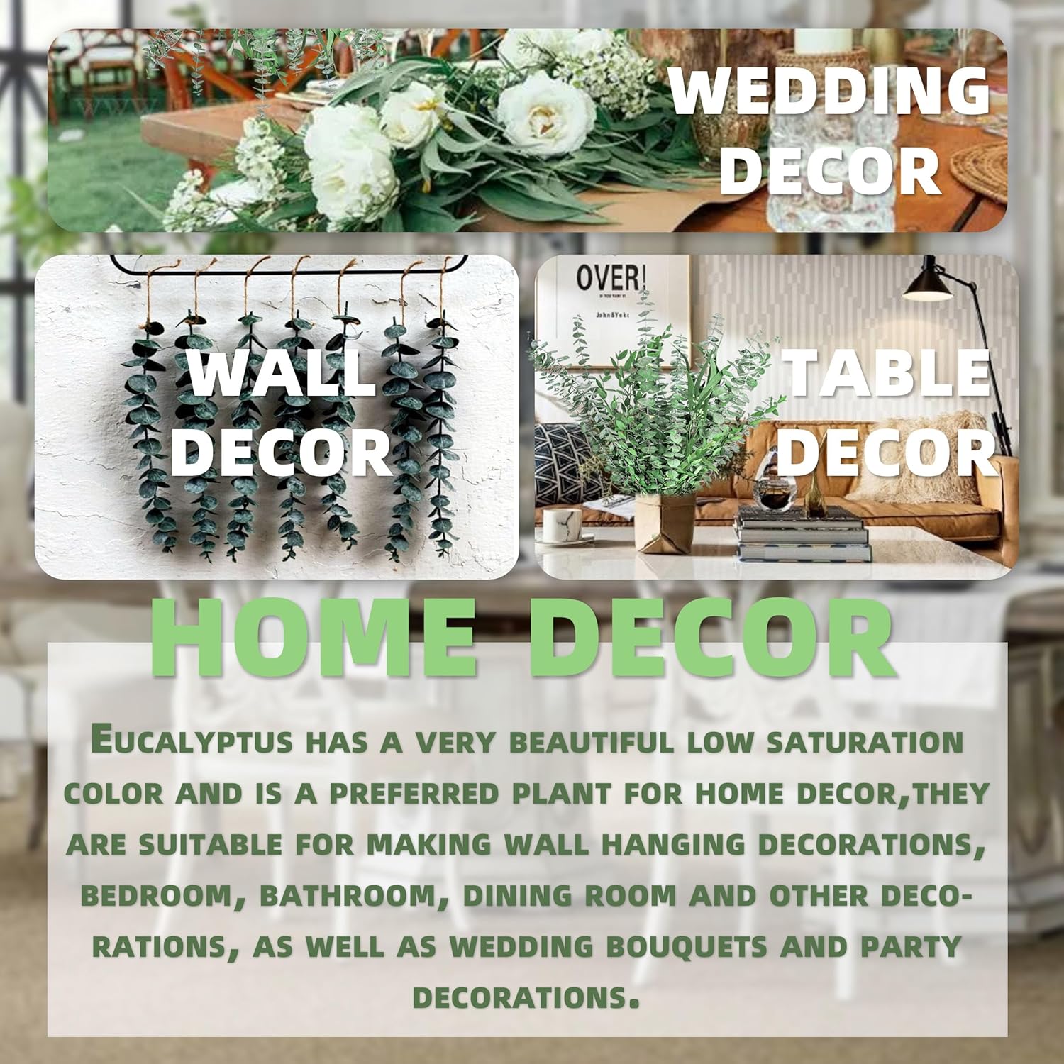 3kinds Natural Eucalyptus Stems 12PCS - 17inch Eucalyptus Set for Shower Bundle Real Eucalyptus Leaves Branches Vase Filler, Dried Flowers Arrangement Home Decor Wedding Decor (12PCS-17INCH)