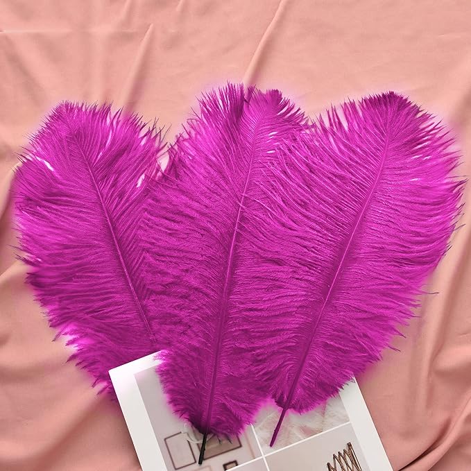 Ballinger Fuchsia Large Ostrich Feathers - 24pcs 8-10inch Hot Pink Feathers for Party Centerpieces, Flower Arrangement and Home Decor