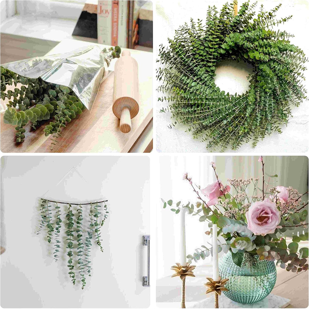10Pcs Dried Eucalyptus Stems, 17" Real Natural Hanging Eucalyptus for Shower, Made from Fresh Leaves Branches, DIY for Vase Filler, Wedding, Bathroom, Home Decor, Dried Flowers Accessories Decor