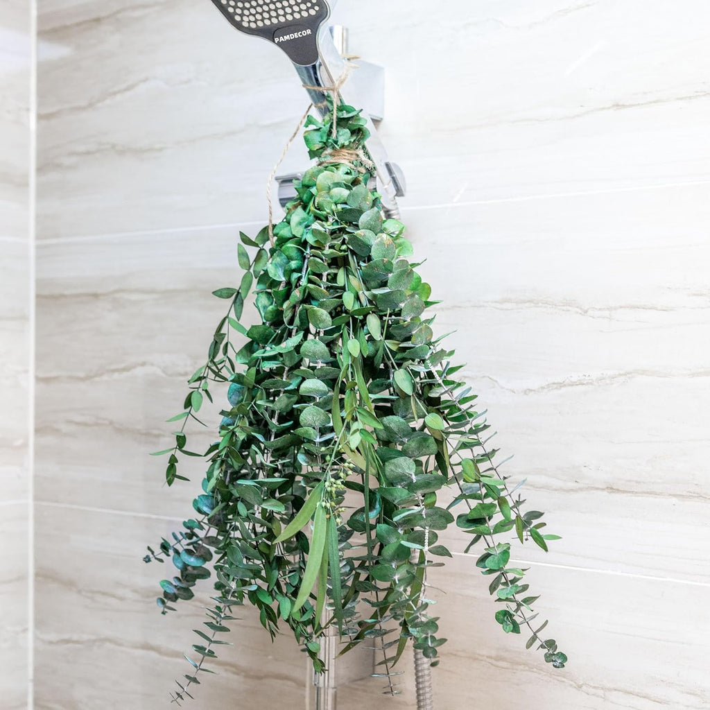 3kinds Natural Eucalyptus Stems 12PCS - 17inch Eucalyptus Set for Shower Bundle Real Eucalyptus Leaves Branches Vase Filler, Dried Flowers Arrangement Home Decor Wedding Decor (12PCS-17INCH)