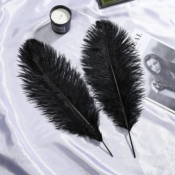 Larryhot Black Ostrich Feathers Bulk - 16-18 inch 10pcs Feathers for Vase,Wedding Party Centerpieces and Home Decorations (Black)