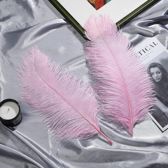 Larryhot Pink Long Ostrich Feathers - 16-18 inch 10pcs Feathers for Cfafts, Wedding Party Centerpieces and Home Decorations (Light Pink)