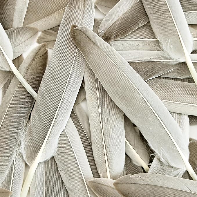 FeelfunFeather 120pcs Natural Gray Goose Cochettes Feathers Bulk 4-6 inches 10-15cm for Wedding Party Christmas Halloween Decorations DIY Crafts