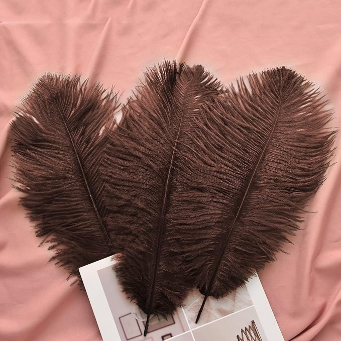 Ballinger Brown Big Ostrich Feathers - 24pcs 8-10inch Craft Feathers for Party Centerpieces, Flower Arrangement and Home Decor