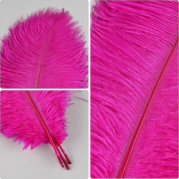 THARAHT Hot Pink Ostrich Feathers 12pcs Natural Bulk 10-12Inch 25cm-30cm for Crafts Wedding Party Centerpieces Easter Gatsbi and Home Decoration Feathers