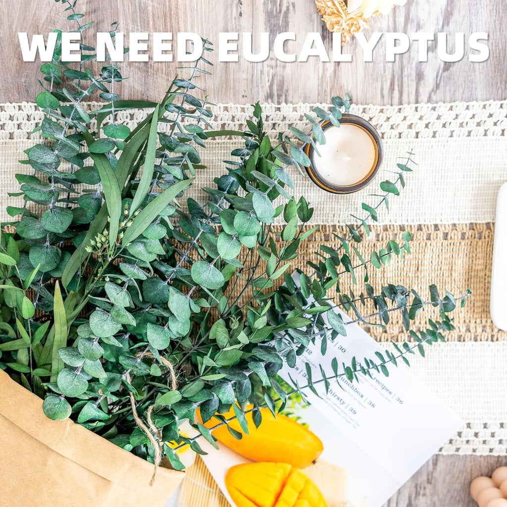 3kinds Natural Eucalyptus Stems 12PCS - 17inch Eucalyptus Set for Shower Bundle Real Eucalyptus Leaves Branches Vase Filler, Dried Flowers Arrangement Home Decor Wedding Decor (12PCS-17INCH)