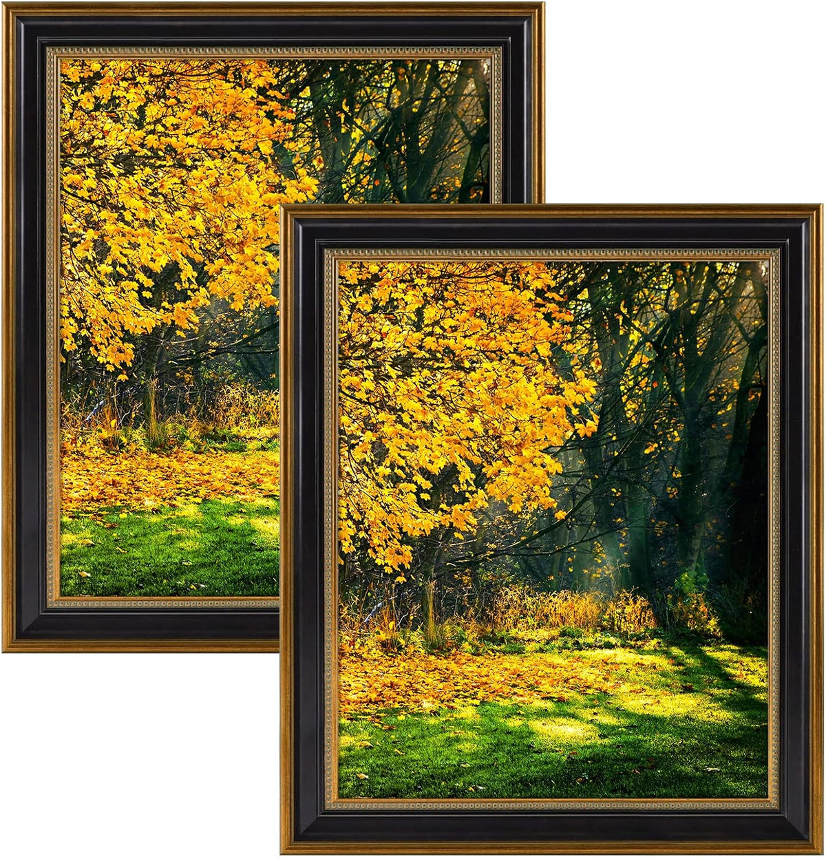 16x20 ornate picture frame with real glass,gold black, main product view