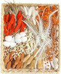 xin's convey DIY Autumn Natural Dried Flower Kit, Mini Stemming Bouquets for Room, Table, and Vase Decorations(Orange)
