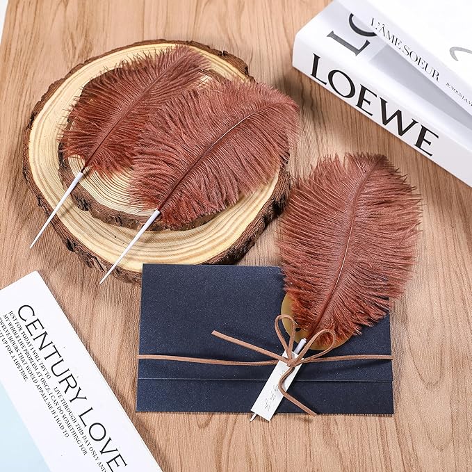 SOGUGOM Brown Craft Ostrich Feathers - 30PCS 6-8 inch Mini Ostrich Feathers Kit for Centerpieces, Kindergarten Crafts, Dream Catchers and Hats(Brown)