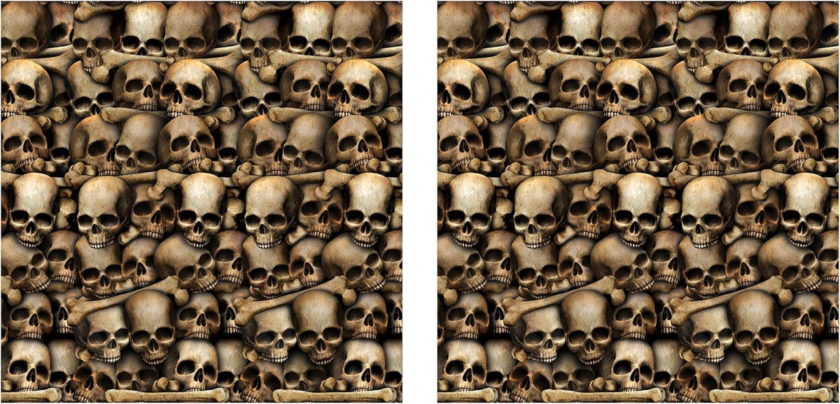 Beistle Catacombs Backdrop Wall Decorations – 2 Realistic Skull and Bone Prin...